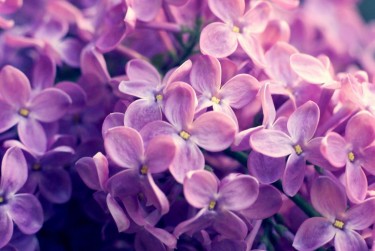 长沙雨花区1赎楼担保服务提升房产交易效率